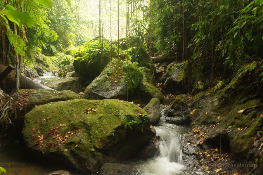 Bali-Ubud 043