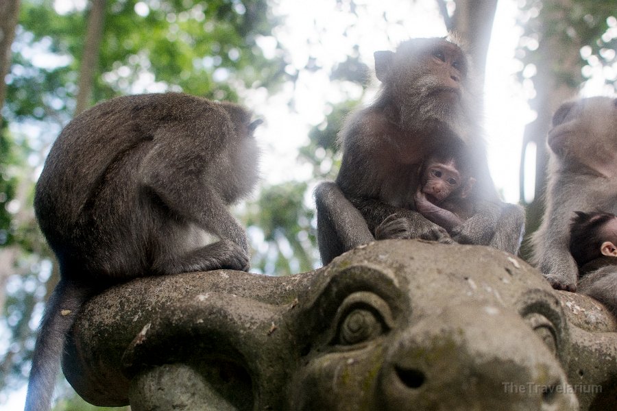 Bali-Ubud 045