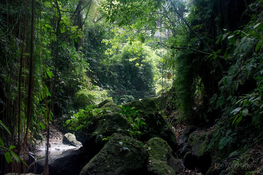 Bali-Ubud 047