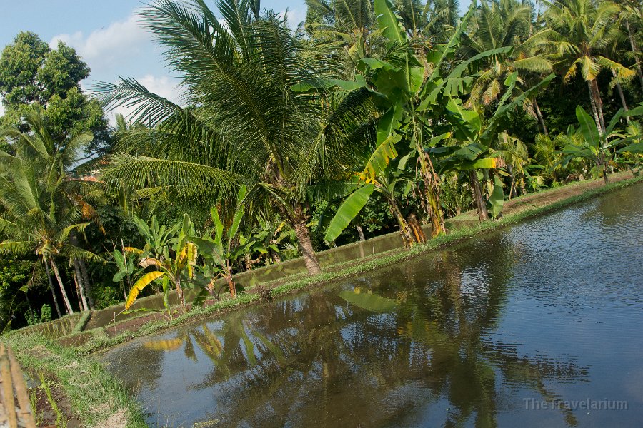 Bali-Ubud 053