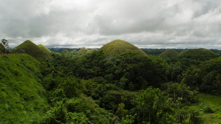 DSC08945 Bohol