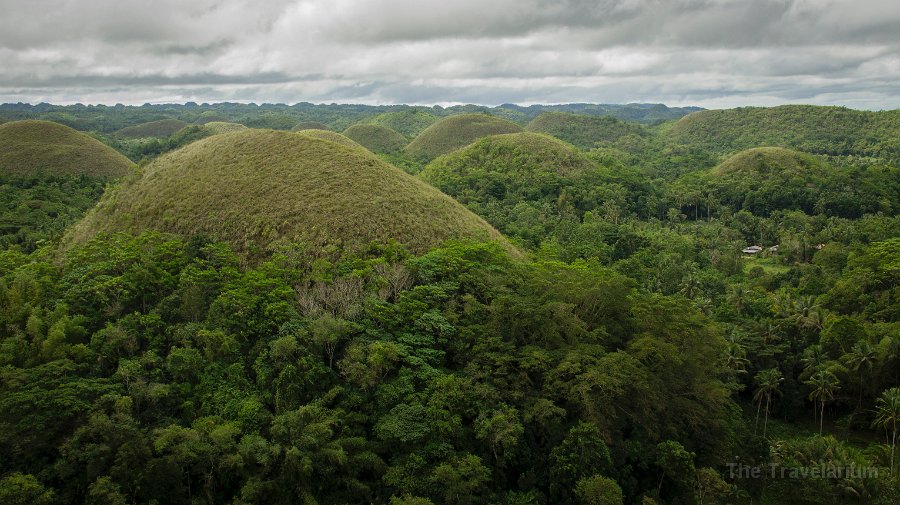 DSC08951 Bohol