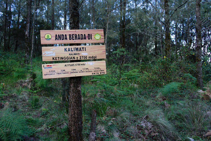 DSC05688 Semeru