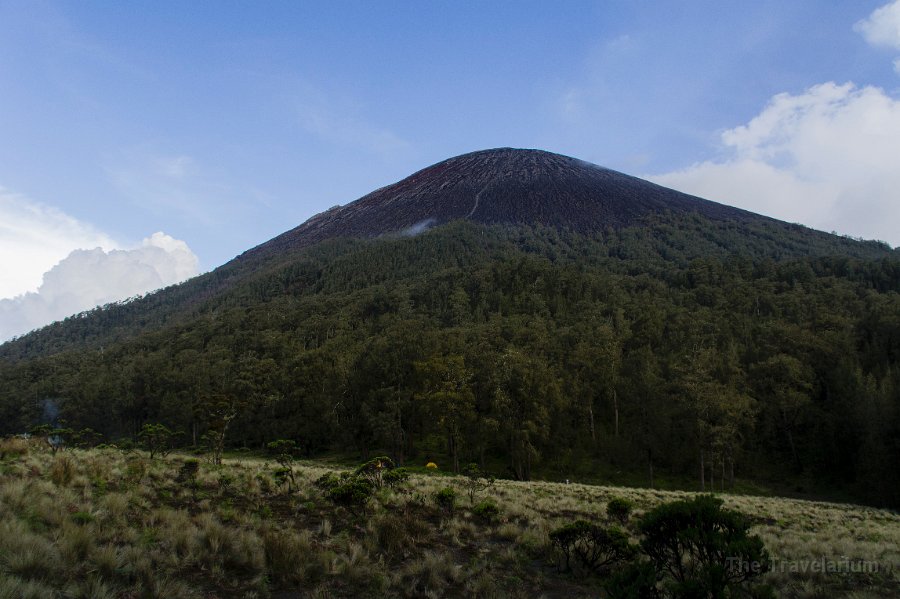 DSC05689 Semeru