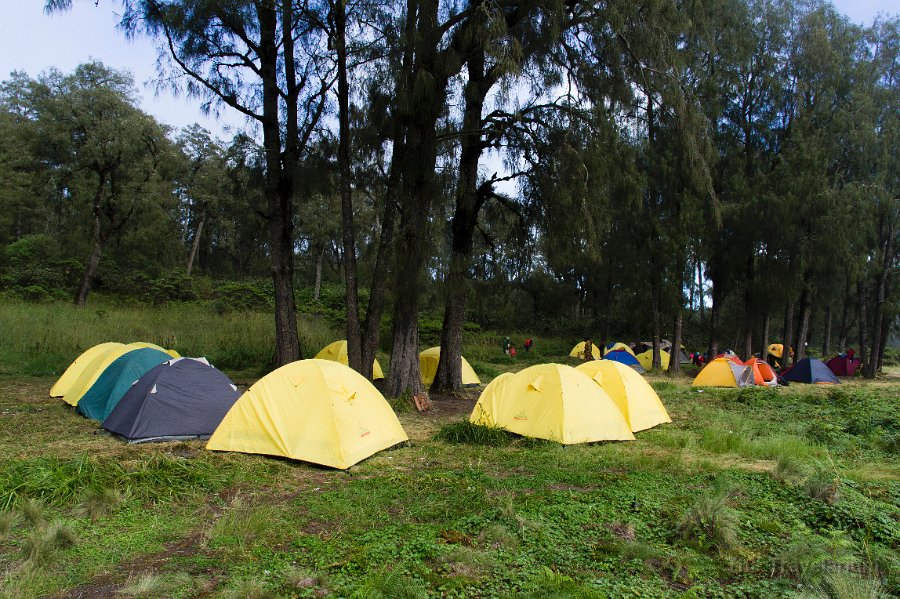 DSC05839 Semeru