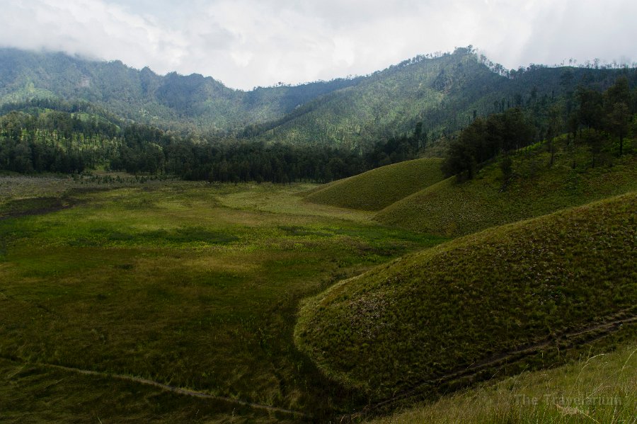 DSC05860 Semeru