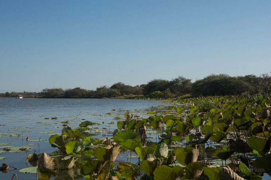 Kakadu 003