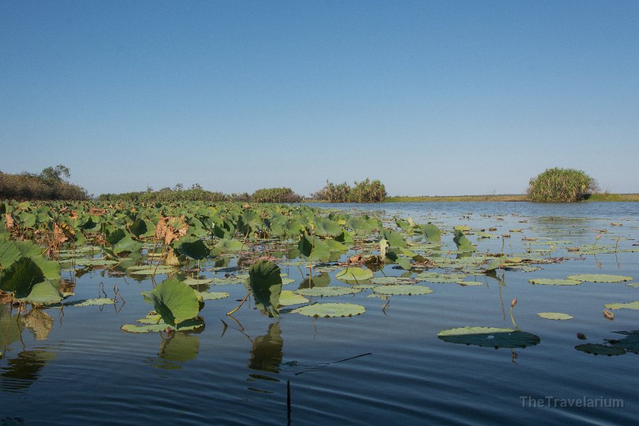 Kakadu 005