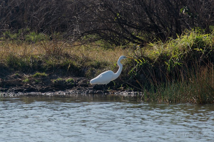 Kakadu 009