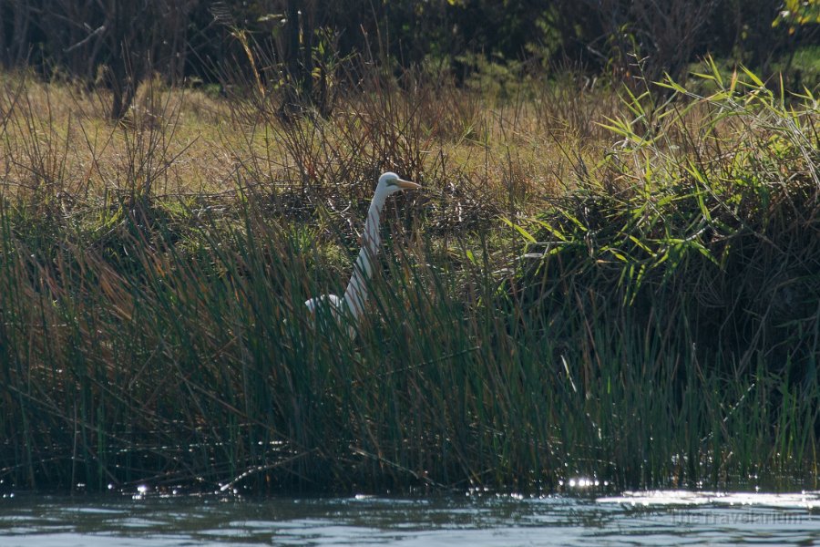 Kakadu 010