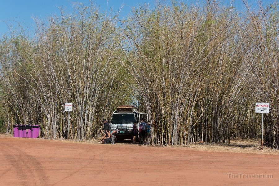 Kakadu 013