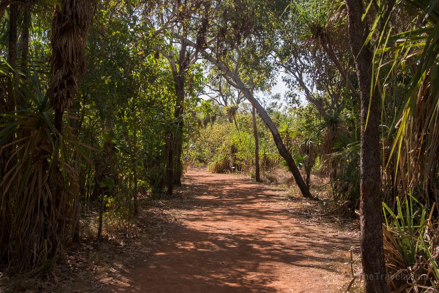 Kakadu 022