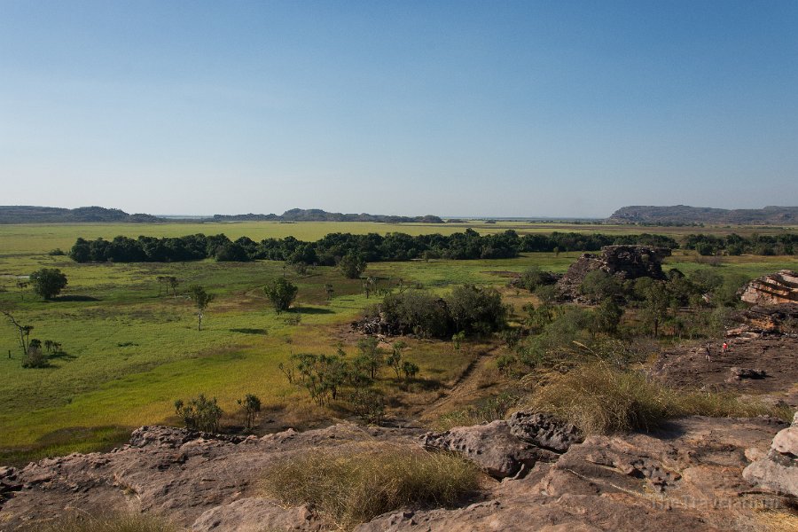 Kakadu 031