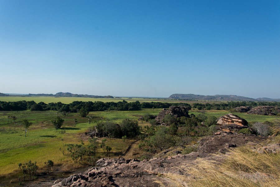 Kakadu 033