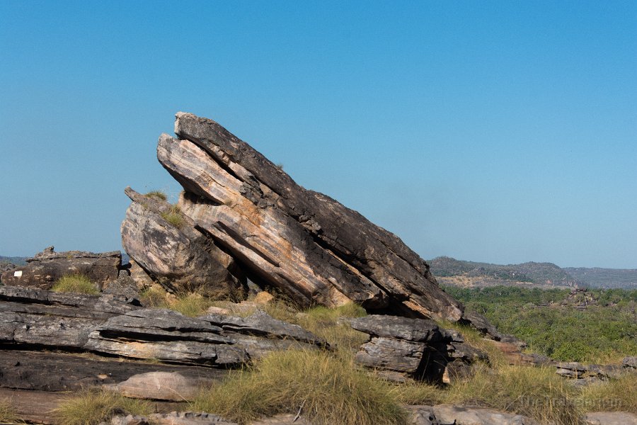 Kakadu 035