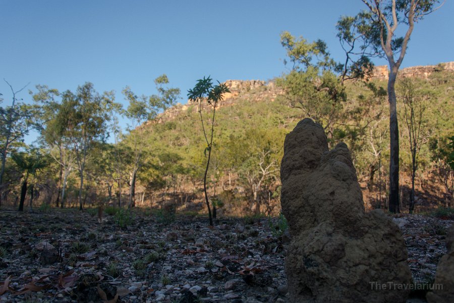 Kakadu 037