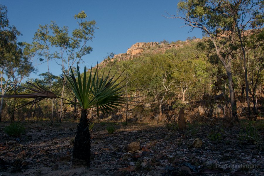 Kakadu 038