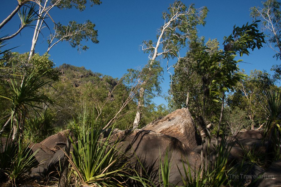 Kakadu 045