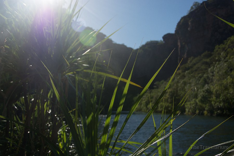 Kakadu 046