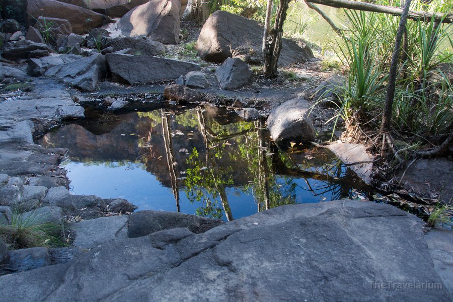 Kakadu 048