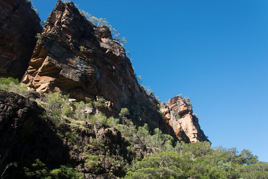 Kakadu 050