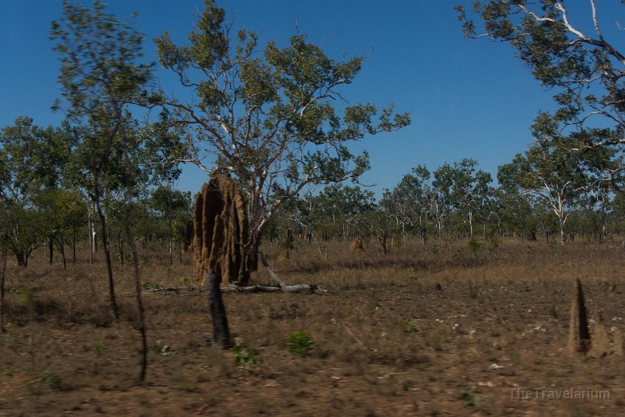 Kakadu 057