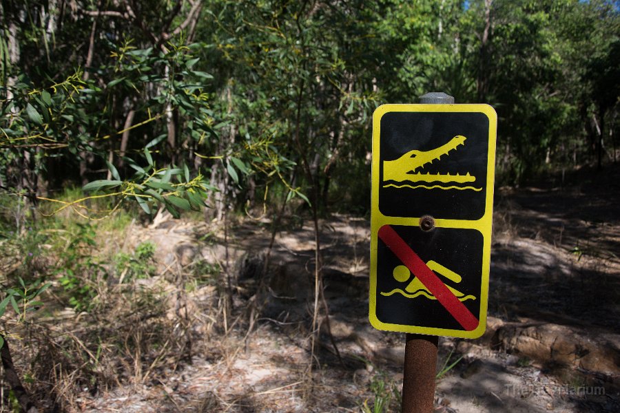 Kakadu 058