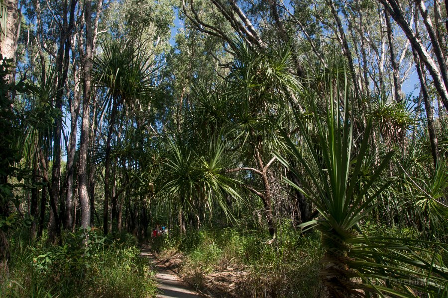 Kakadu 060