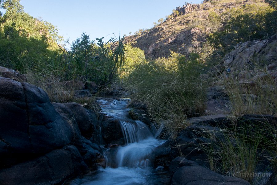 Kakadu 068