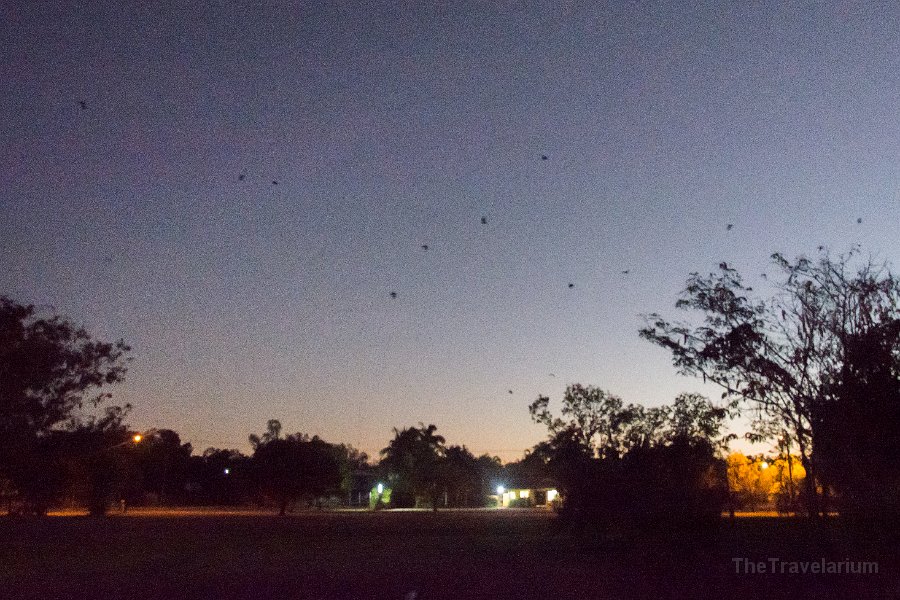 Kakadu 079