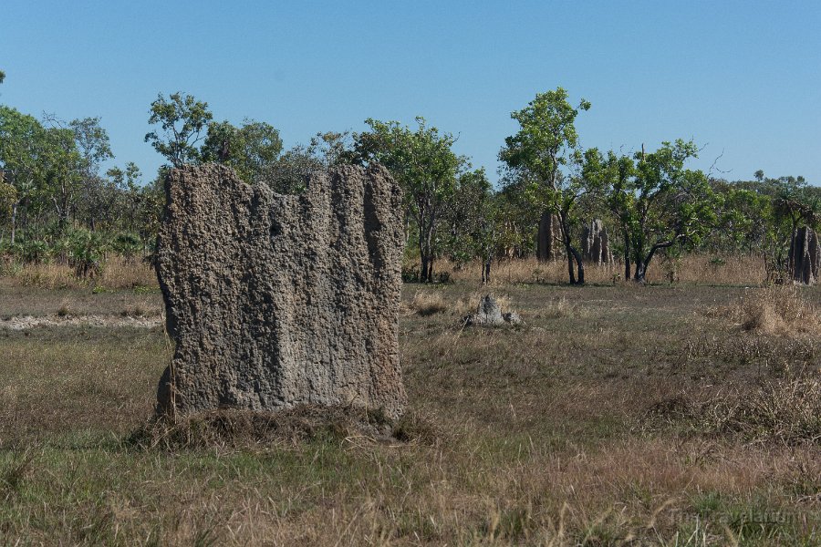 Kakadu 086