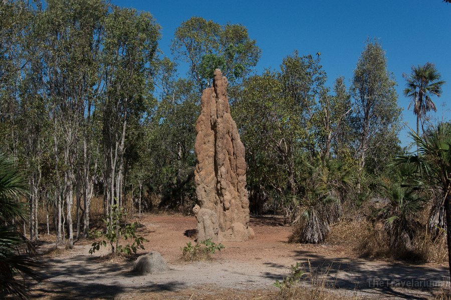 Kakadu 087