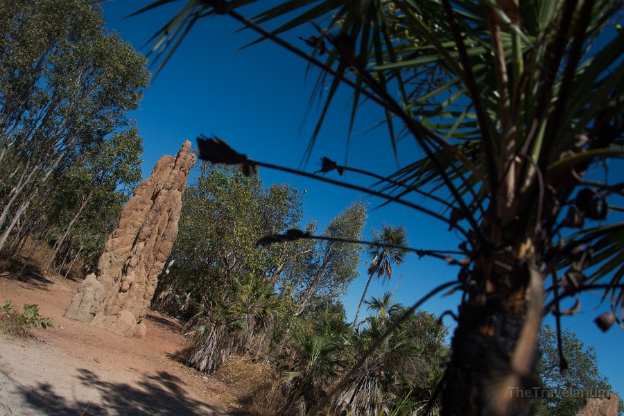 Kakadu 088