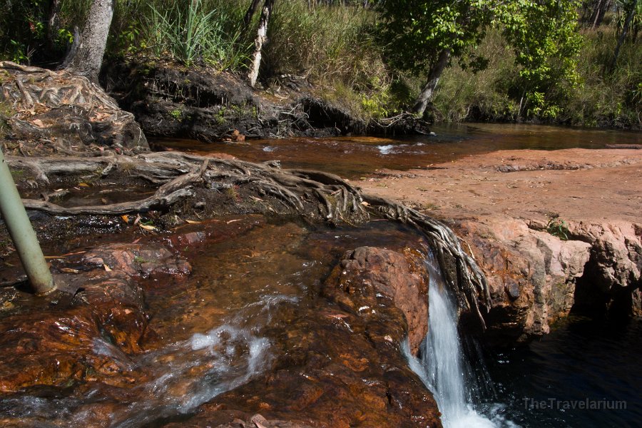 Kakadu 089