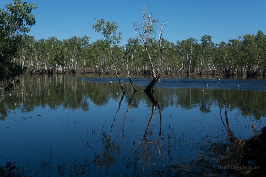 Kakadu 097