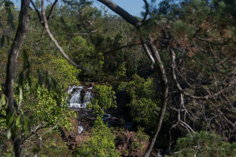 Kakadu 105