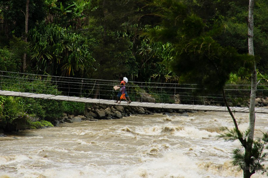 Papua DSC04569