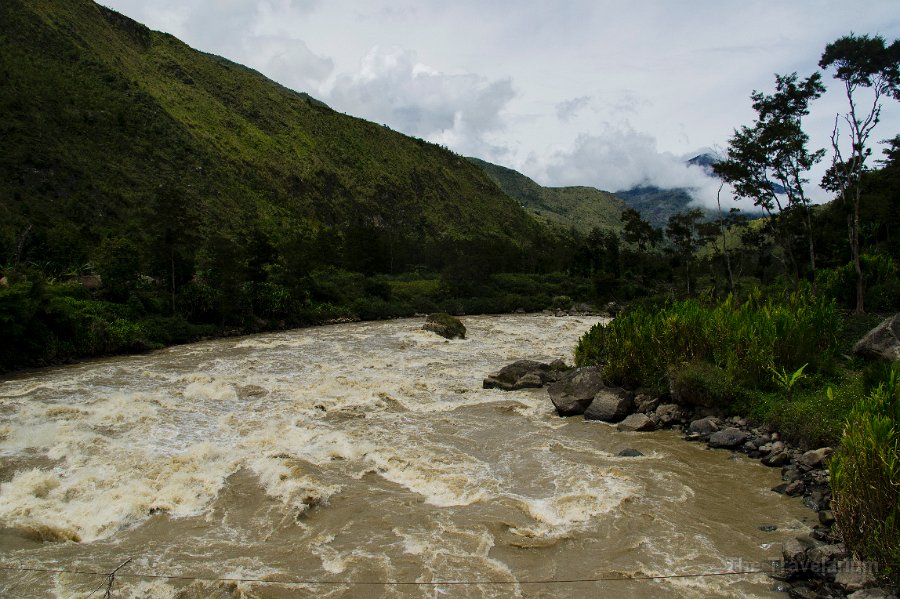 Papua DSC04577