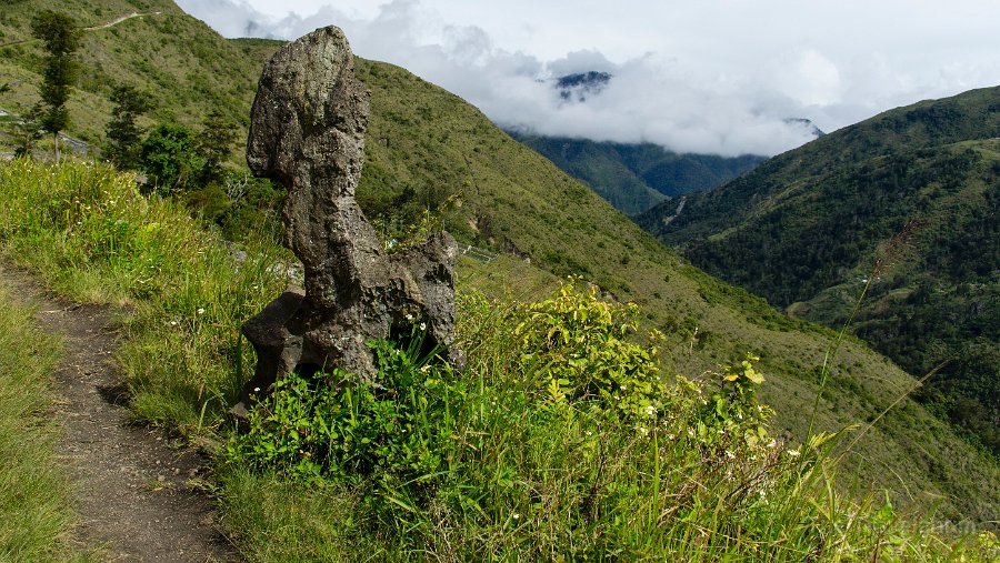 Papua DSC04651