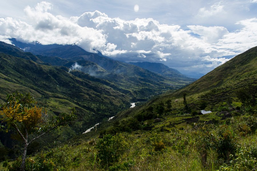 Papua DSC04661