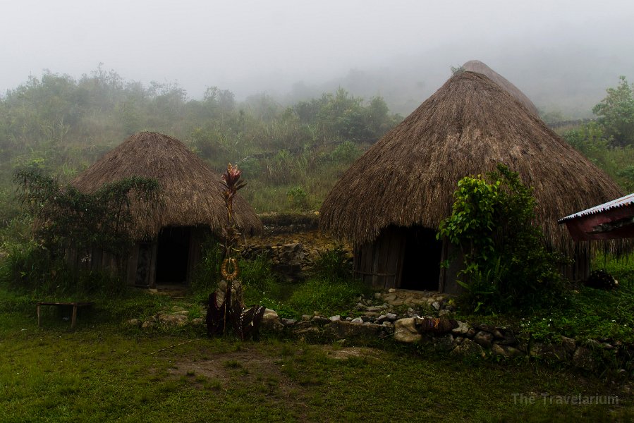 Papua DSC04722