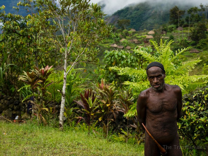 Papua DSC04741