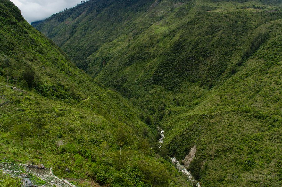 Papua DSC04831