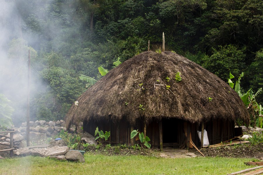 Papua DSC04888