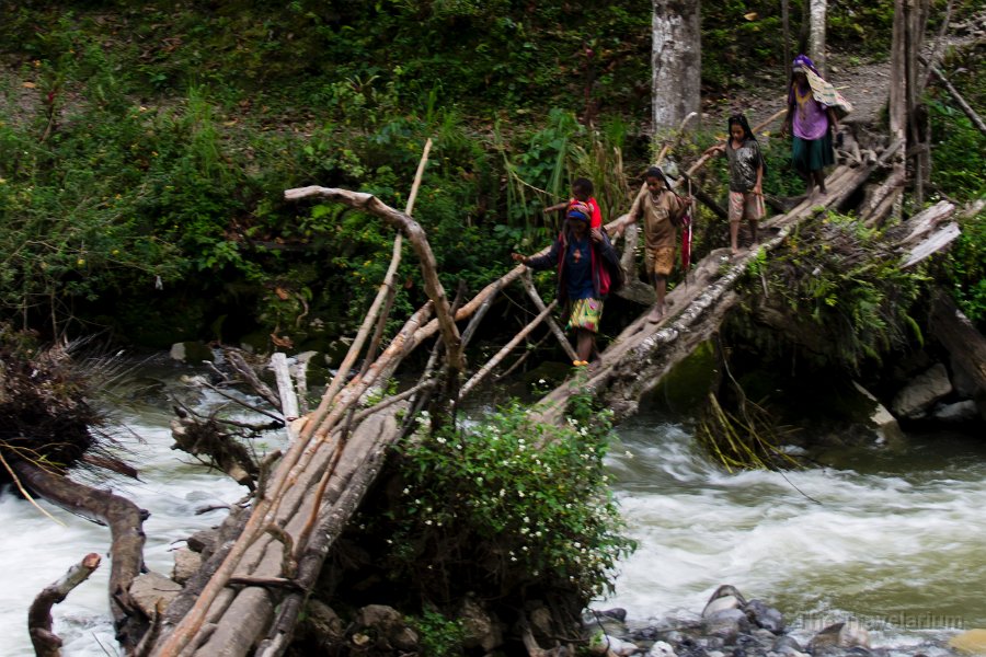 Papua DSC04913