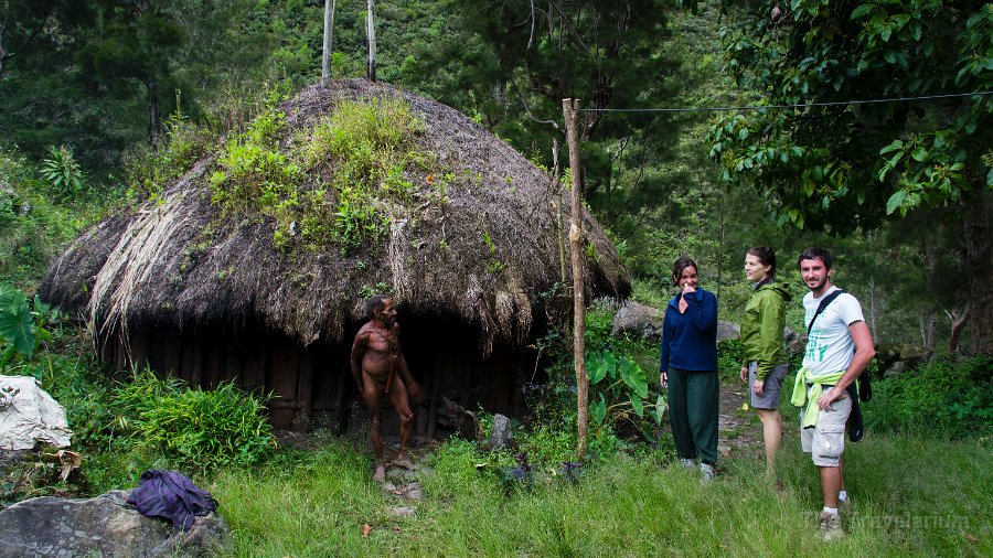 Papua DSC04940