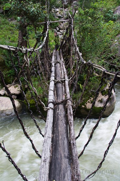 Papua DSC04962 bridge