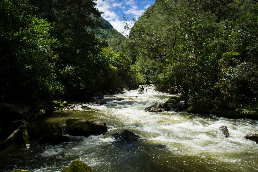 Papua DSC05016