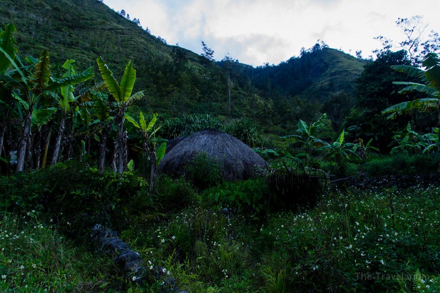 Papua DSC05063