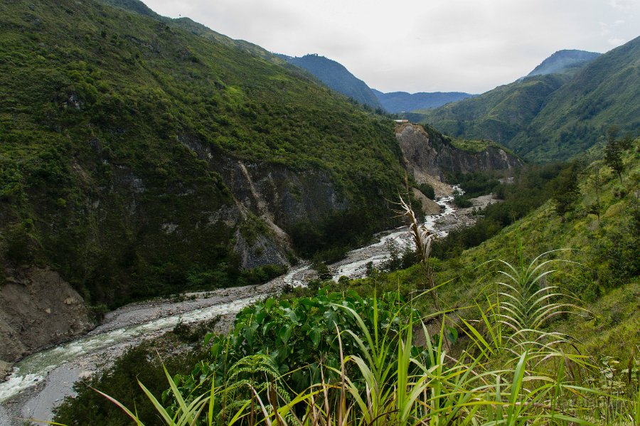 Papua DSC05080